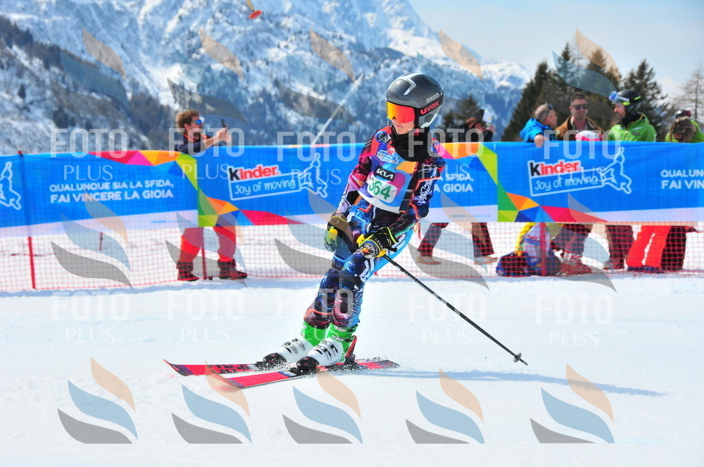 DSC_3267 | holidayphoto