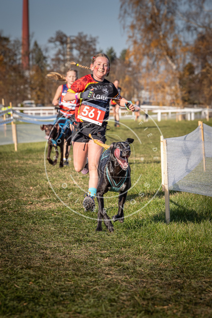 CaniXpix_0L8A7837 | Hundefotografie, Tierfotograf, Pfotenfotografie, Fotoshooting Hund, Hunde Portrait, Hundesport, Hundeportraits, Heideshooting, Hunde, Sportfotograf, Hundefotograf, Turnierhundsport, THS,  - Realisiert mit Pictrs.com