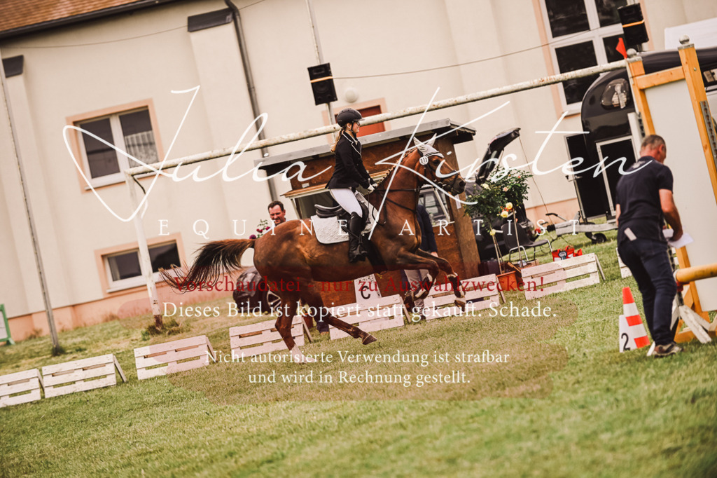 DSC_7002 | Pferde- und Turnierfotografie in Westsachsen. Pferdeportraits, Auftragszeichnungen und intuitive Kunst.