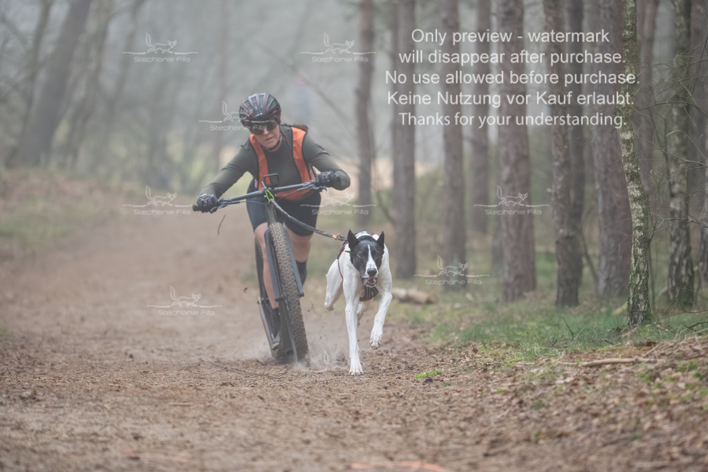 Scooter1-15 | stephaniefillaphotographie - Realisiert mit Pictrs.com