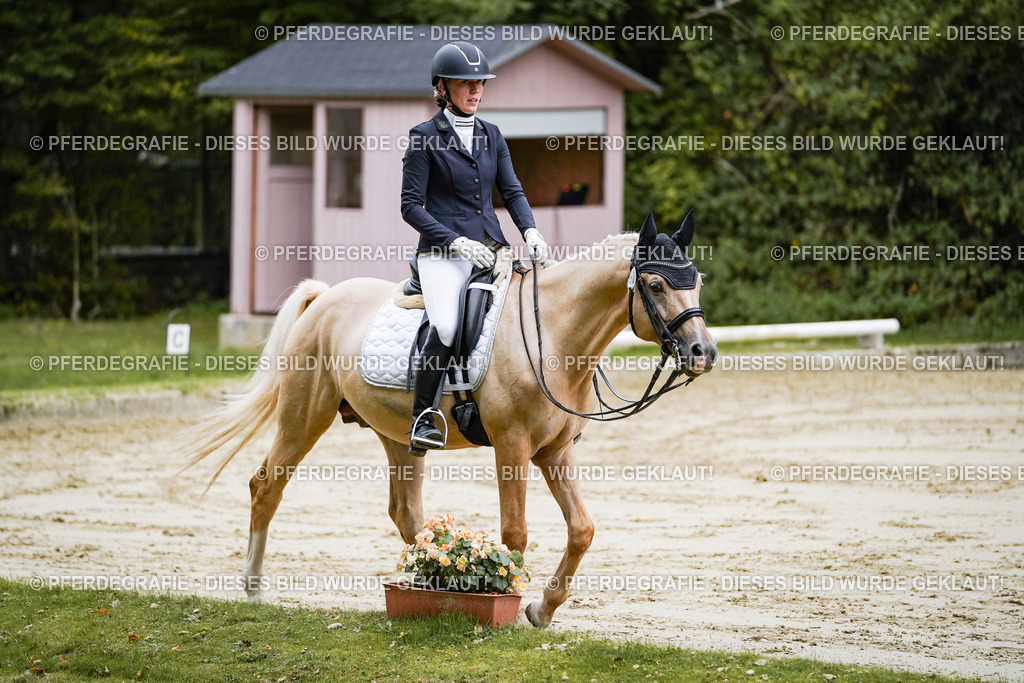 DSC09061 | Pferdegrafie