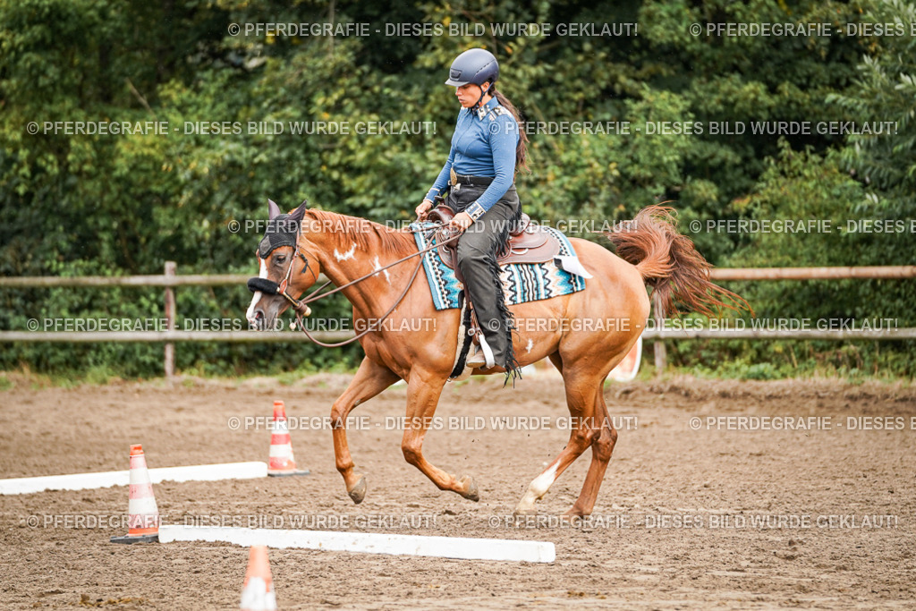 DSC04419 | Pferdegrafie