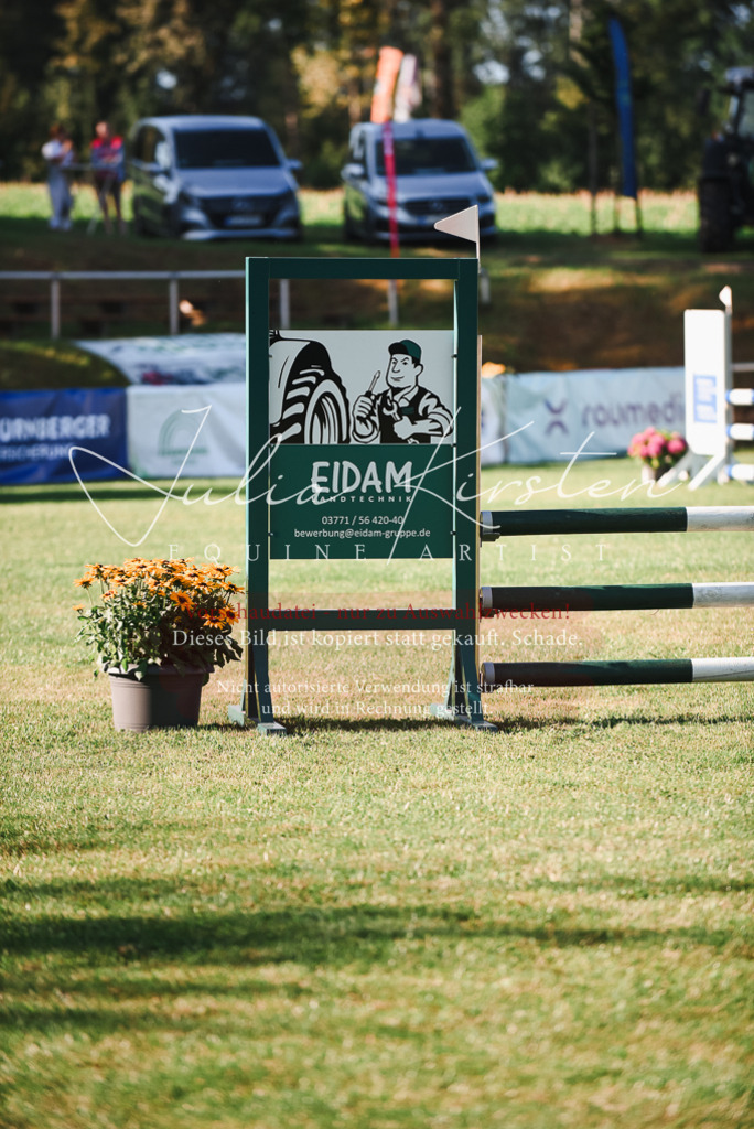 DSC_2137 | Pferde- und Turnierfotografie in Westsachsen. Pferdeportraits, Auftragszeichnungen und intuitive Kunst.