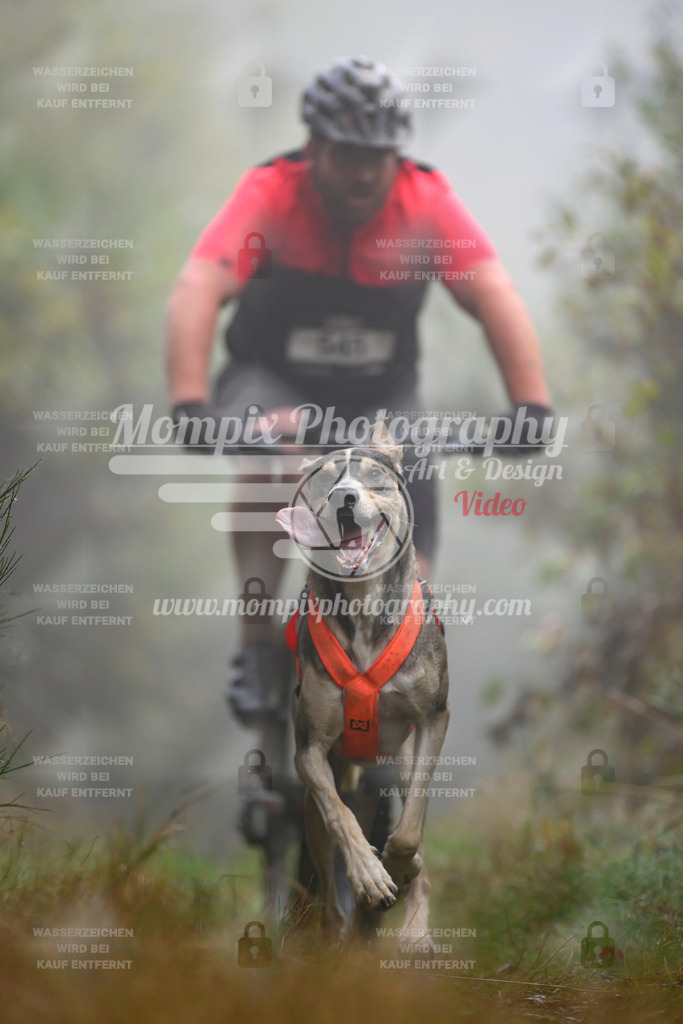 MompixPhotography_20TSB_E4_Bike-109 | PayLife