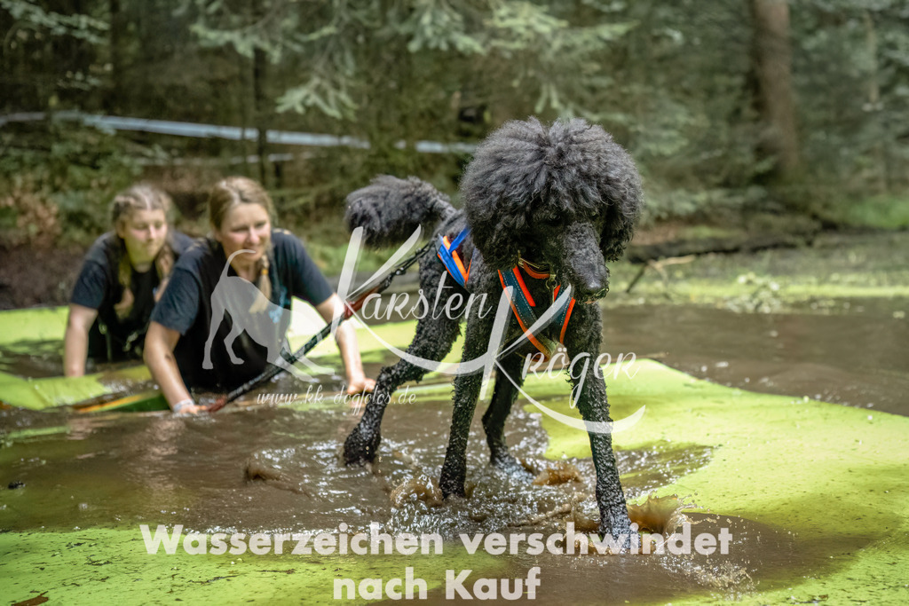 1432_ZZ92700-Bearbeitet | kk-dogfotos