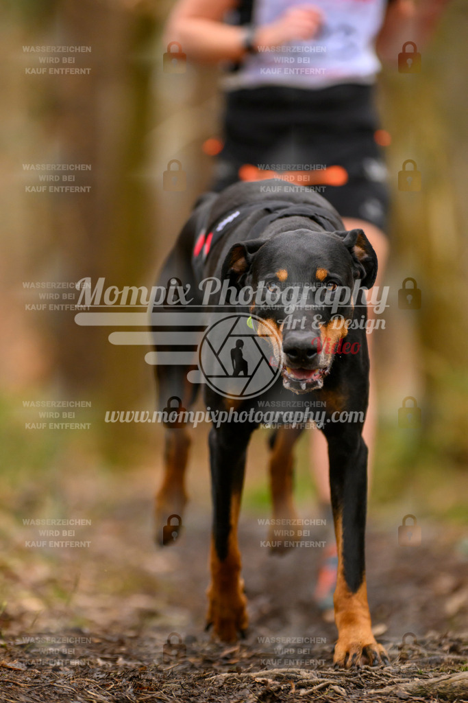 MompixPhotography_CDSM24_SA_Fun-37 | PayLife