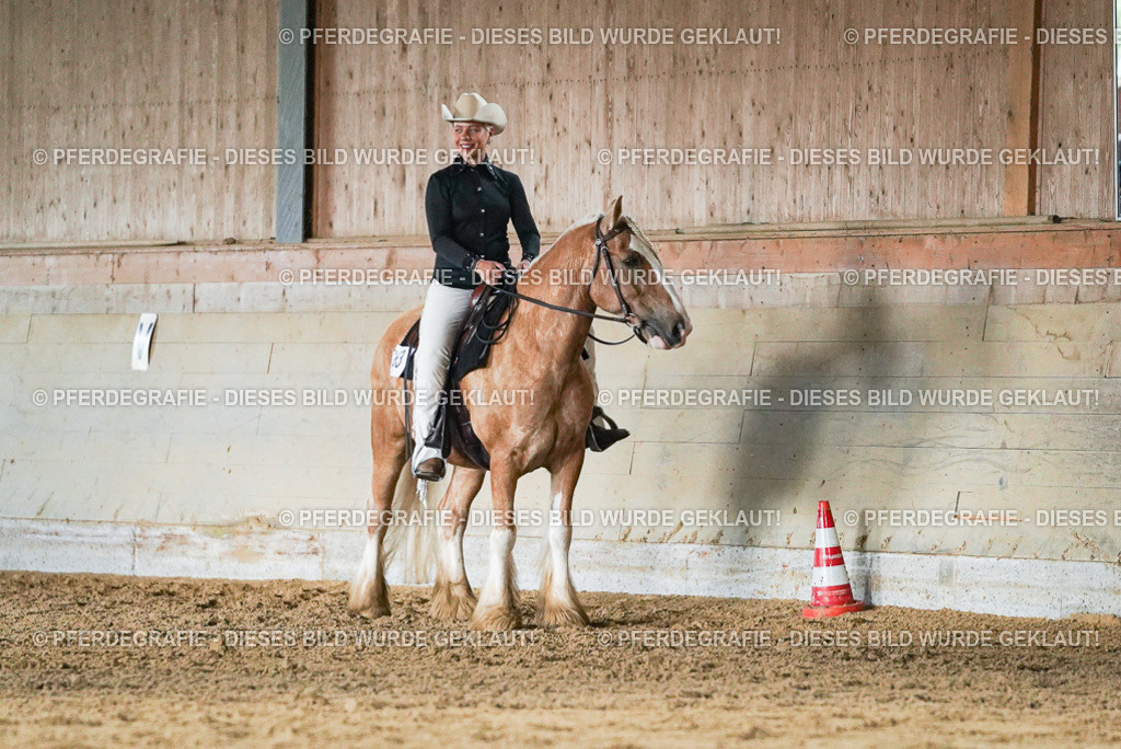 DSC05477 | Pferdegrafie