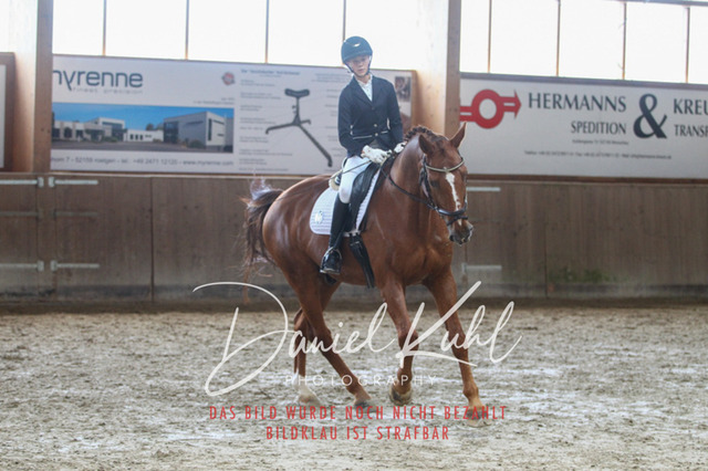 DKP45402 | Turniersportfotografie; Pferdefotografie; Dressurfotografie