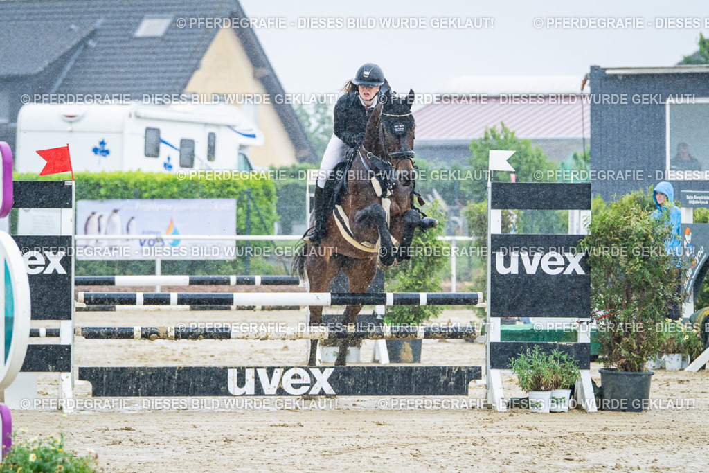 DSC02963 | Pferdegrafie