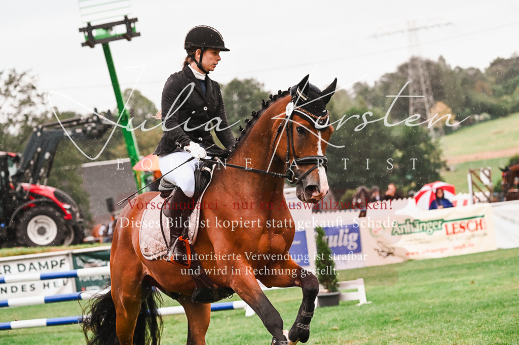 DSC_6605 | Pferde- und Turnierfotografie in Westsachsen. Pferdeportraits, Auftragszeichnungen und intuitive Kunst.