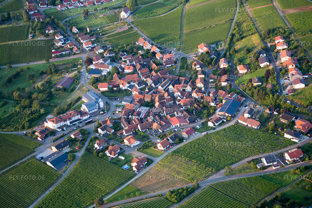 Luftbild: landwirtschaftlichen Feldern und Nutzflächen im Ortsteil Gleiszellen in Gleiszellen-Gleishorbach im Bundesland Rheinland-Pfalz in Deutschland. Foto: IMG_091839.jpg vom 16.07.2016 durch Werner Riehm/FLY-FOTO.de