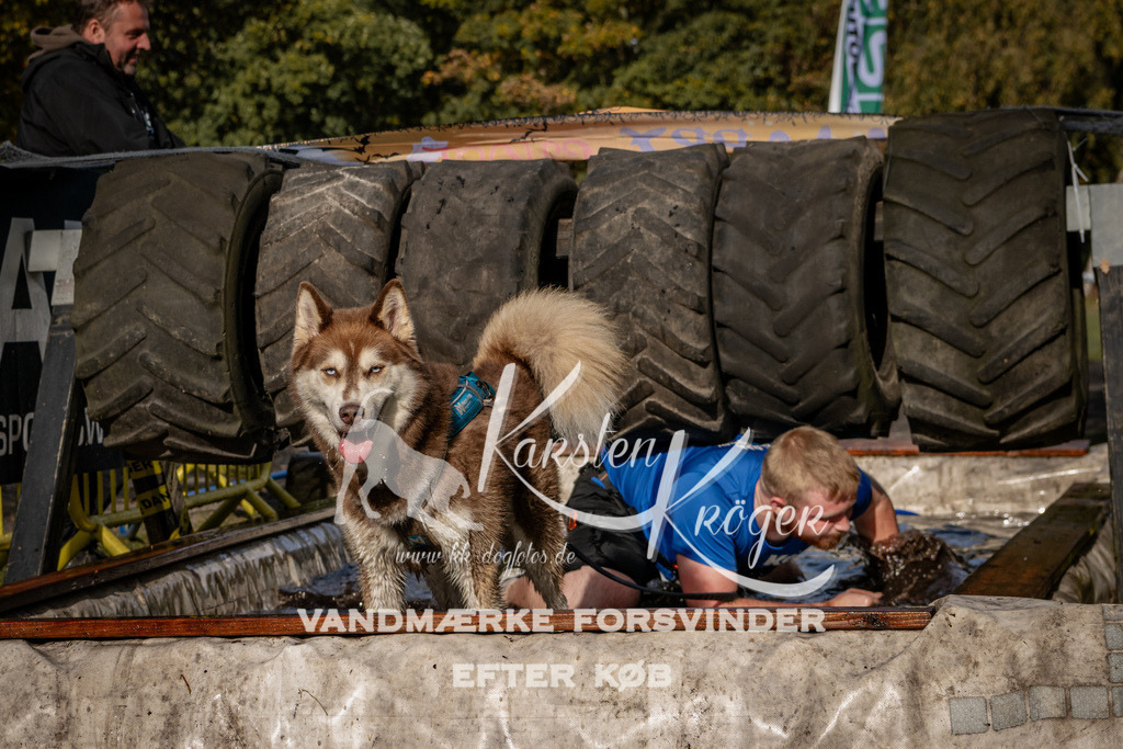 1346_ZZ92944 | kk-dogfotos