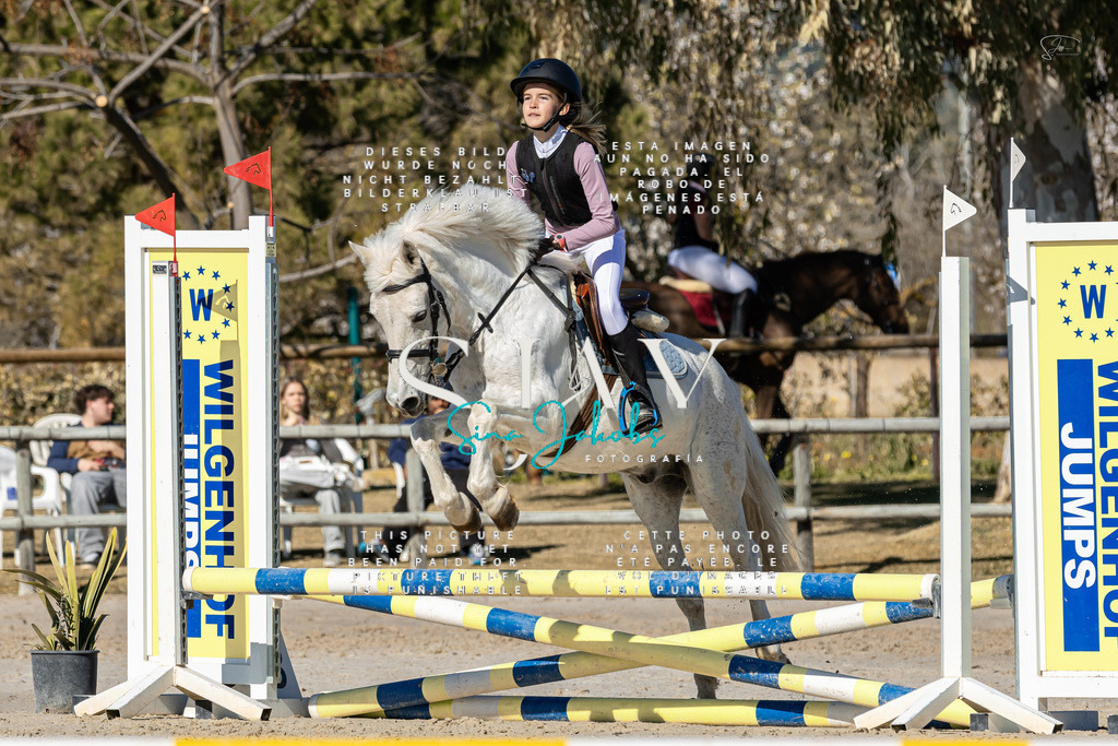 IMG_8555 | s-jay-photography - Realisiert mit Pictrs.com