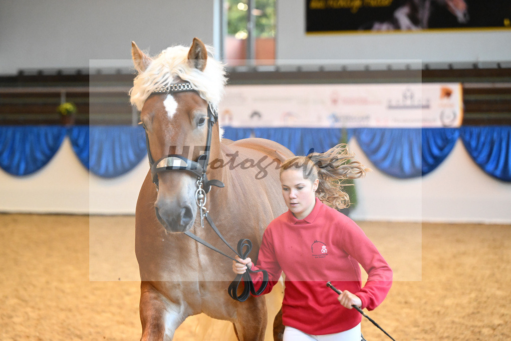 Kat-Nr. 26 Hennes Gold_Dechert_53221121 | hf-fotografie - Realizzato con Pictrs.com