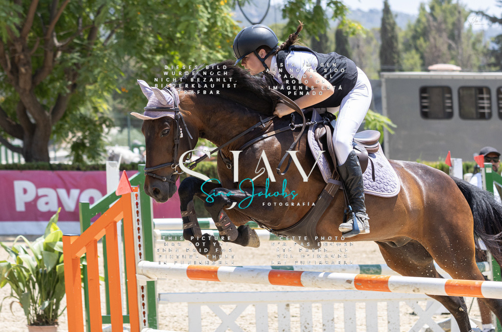 IMG_7586 | s-jay-photography - Realisiert mit Pictrs.com