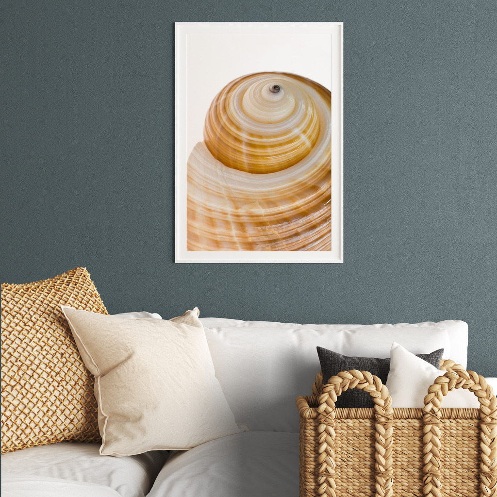 Elegante Muschelspirale für Ihr Wohnzimmer | Sie finden dieses Motiv in der Galerie Farben und Formen - Strukturen und Muster (https://www.pictrs.com/soulimages/img/4hysdo). - Realisiert mit Pictrs.com