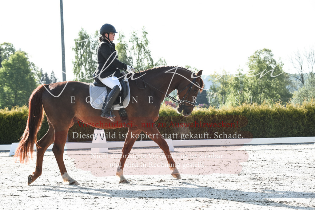 20230518_JK-Röhrsdorf-09-0498 | Pferde- und Turnierfotografie in Westsachsen. Pferdeportraits, Auftragszeichnungen und intuitive Kunst.