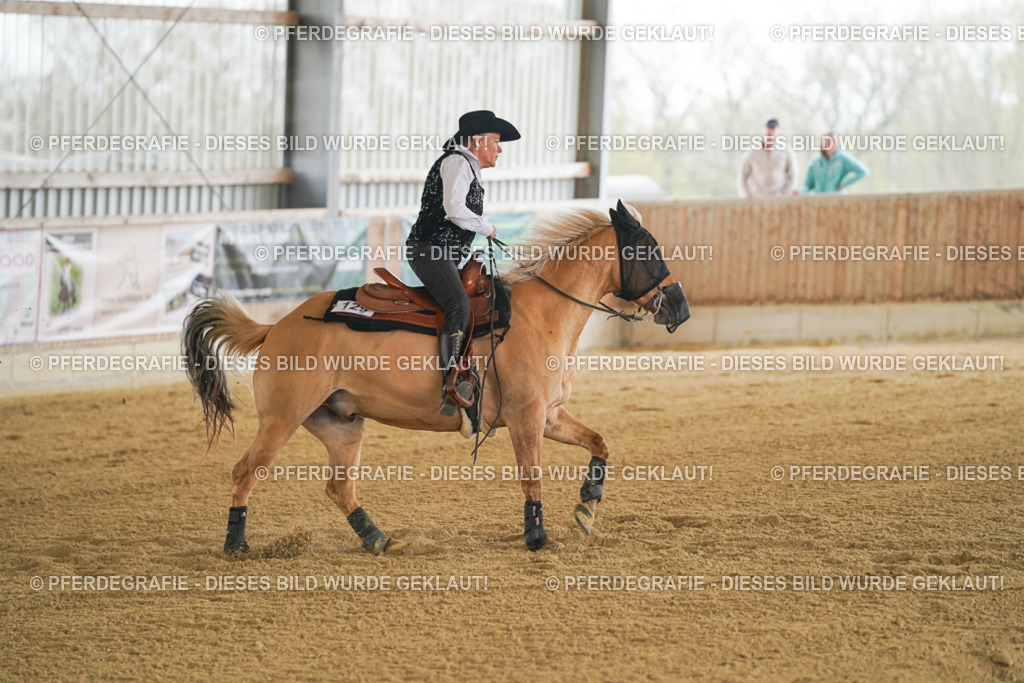 DSC07512 | Pferdegrafie