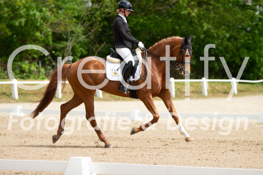 IMG_6810 | Creatify Fotografie