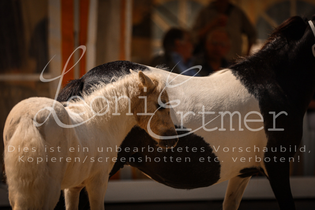 01.DoKR00062 | Leoni Ertmer Photography - Realisiert mit Pictrs.com