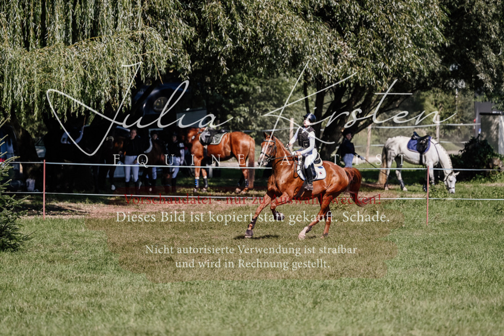 DSC_2673 | Pferde- und Turnierfotografie in Westsachsen. Pferdeportraits, Auftragszeichnungen und intuitive Kunst.