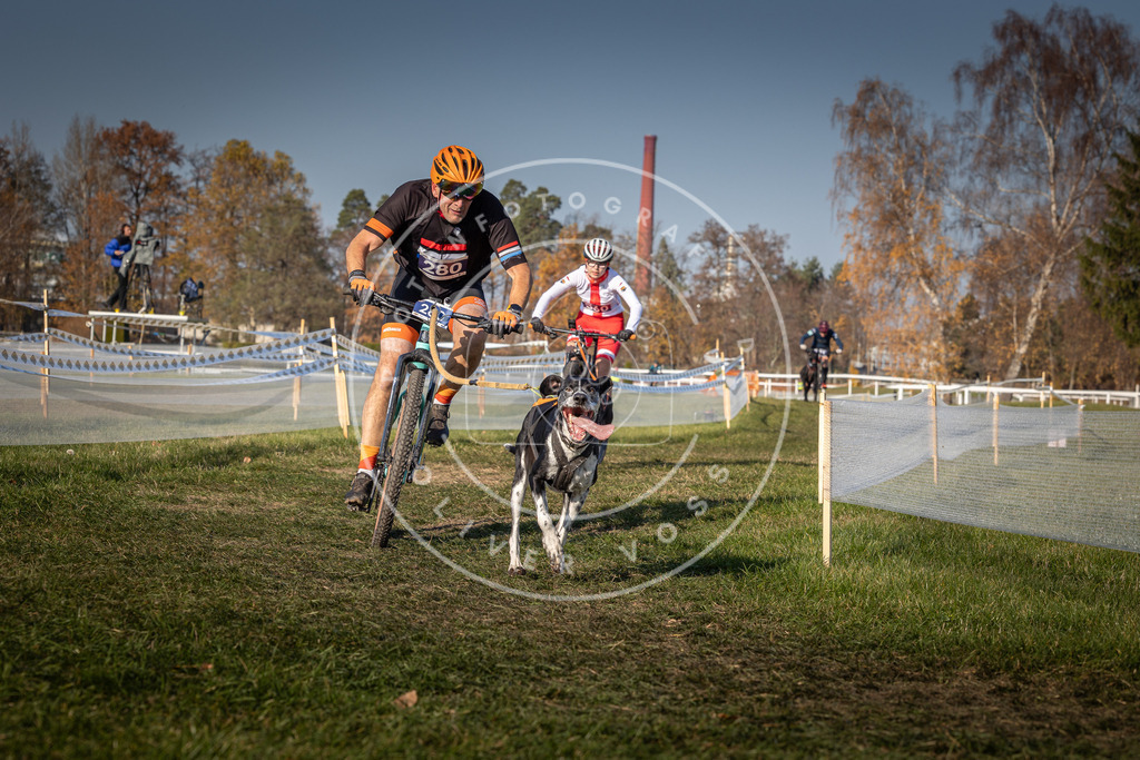CaniXpix_0L8A8151 | Hundefotografie, Tierfotograf, Pfotenfotografie, Fotoshooting Hund, Hunde Portrait, Hundesport, Hundeportraits, Heideshooting, Hunde, Sportfotograf, Hundefotograf, Turnierhundsport, THS,  - Realisiert mit Pictrs.com