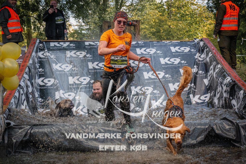 1555_ZZ91276 | kk-dogfotos