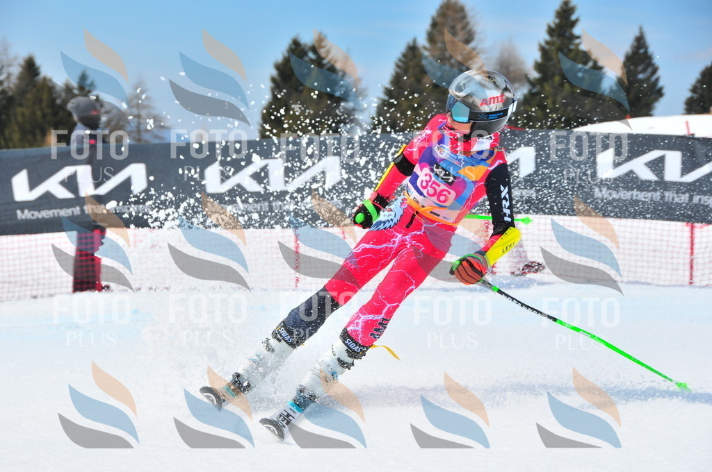 DSC_7004 | holidayphoto