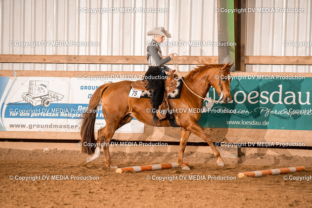 BA400101 | dv-media-shop - Realisiert mit Pictrs.com