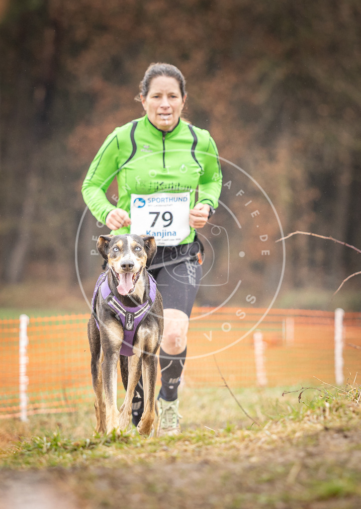 DV3A0317 | Hundefotografie, Tierfotograf, Pfotenfotografie, Fotoshooting Hund, Hunde Portrait, Hundesport, Hundeportraits, Heideshooting, Hunde, Sportfotograf, Hundefotograf, Turnierhundsport, THS,  - Realisiert mit Pictrs.com