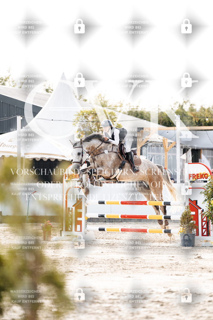 CK906723 | Turnierfotografie Pferdefotografie Trier Rheinland-Pfalz Pferdesport Reitsport Tierfotografie Sportfotografie Pferdevideo Pferdevideografie Equestrianvideography equestrianphotography  - Realisiert mit Pictrs.com