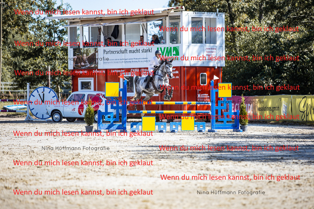 BK1A5777 | Turnierbilder Turnierfotos Nina Hüffmann Turnierfotografie Pferdefotografie Tierzeichnung Haustierzeichnung Pferdezeichnung Hundezeichnung Videograf  - Realisiert mit Pictrs.com