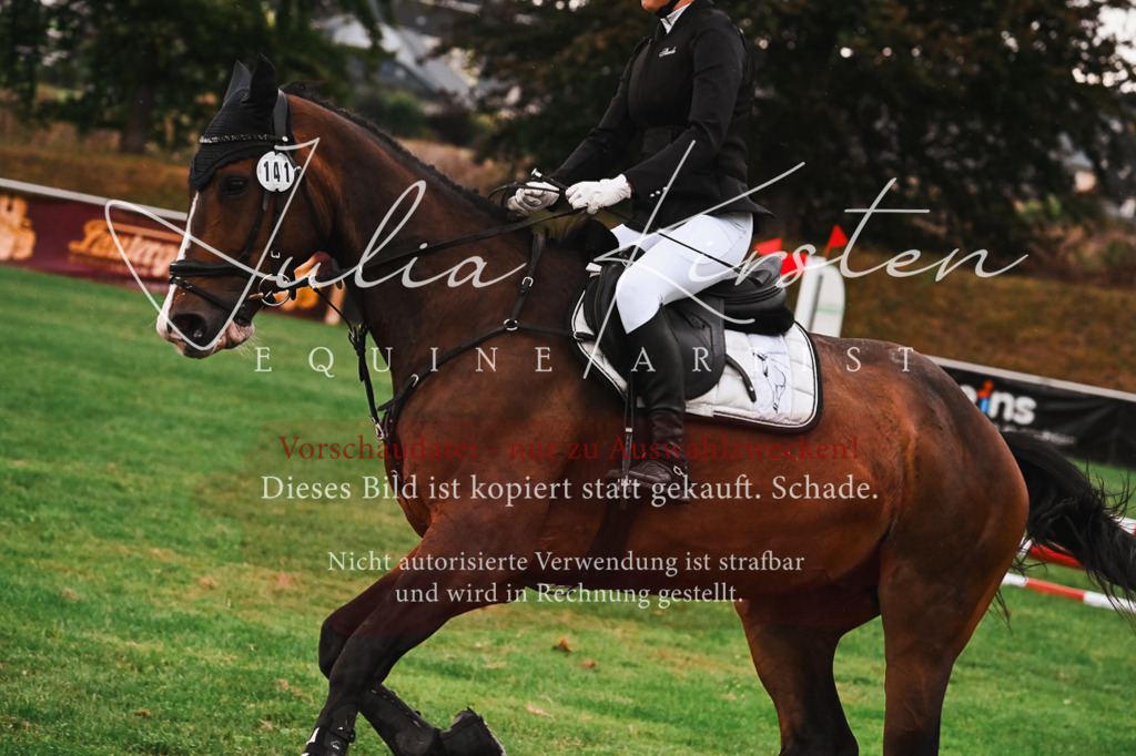 DSC_6152 | Pferde- und Turnierfotografie in Westsachsen. Pferdeportraits, Auftragszeichnungen und intuitive Kunst.