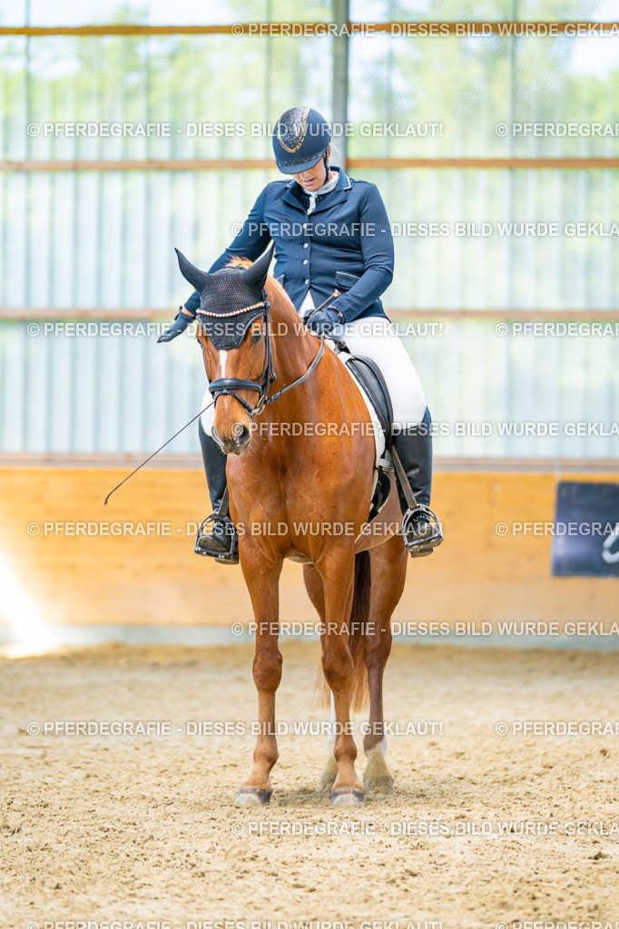 DSC07572 | Pferdegrafie