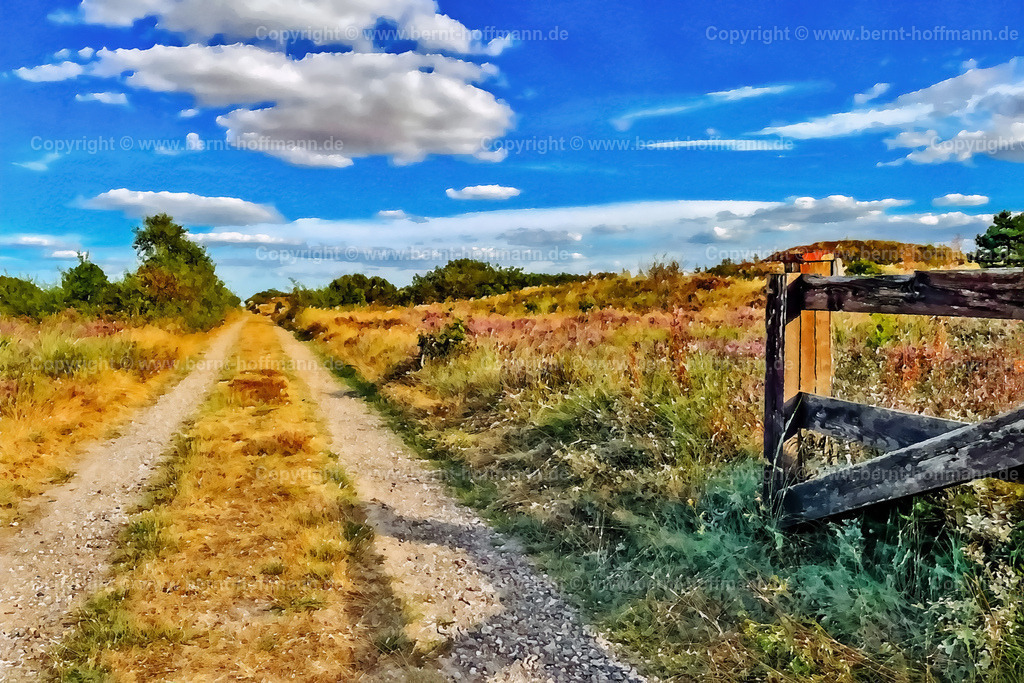 PDM2_3731_Roem-Ost_150x100 | DIGITALKUNST. Weg durch die Heide. __ Ostteil der dänischen Insel Roem mit einem Privatweg durch die blühende Heide. __ Seitenverhältnis = 3 zu 2 - Realisiert mit Pictrs.com