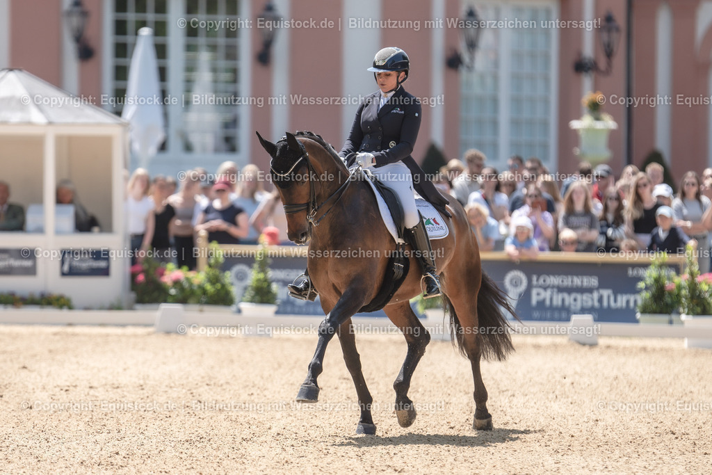 20230527_01_GP-Kür-Tour_0298 | equistock