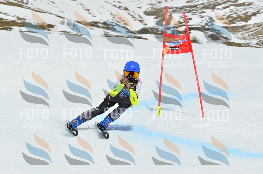 _ELE2825 | holidayphoto