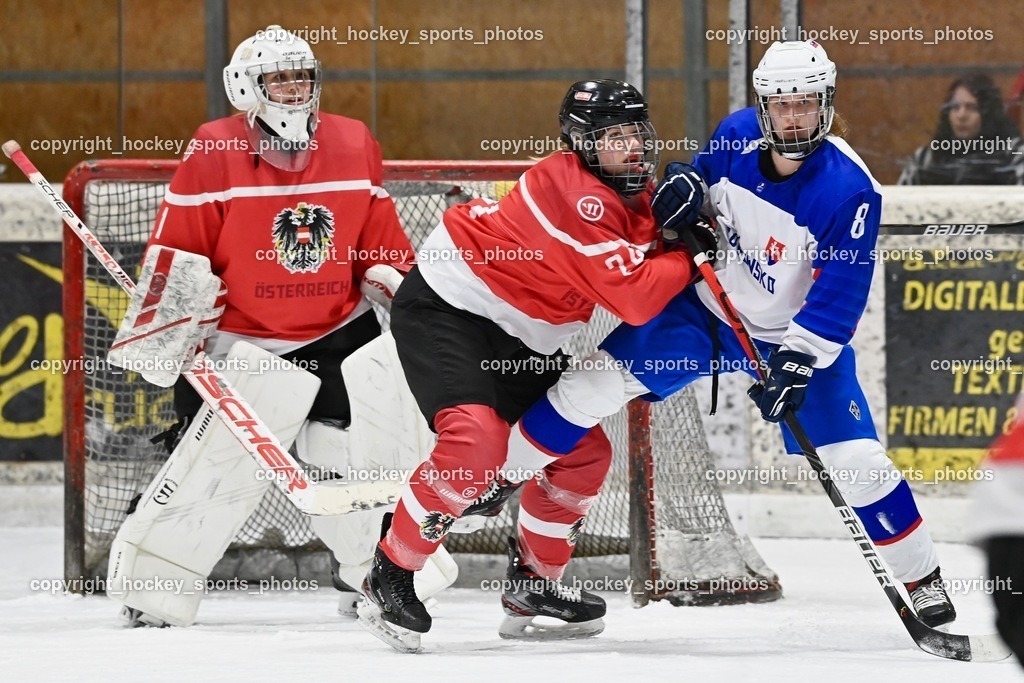 BST_3629 | hockey sports photos, Pressefotos, Sportfotos, hockey247, win 2day icehockeyleague, Handball Austria, Floorball Austria, ÖVV, Kärntner Eishockeyverband, KEHV, KFV, Kärntner Fussballverband, Österreichischer Volleyballverband, Alps Hockey League, ÖFB, 