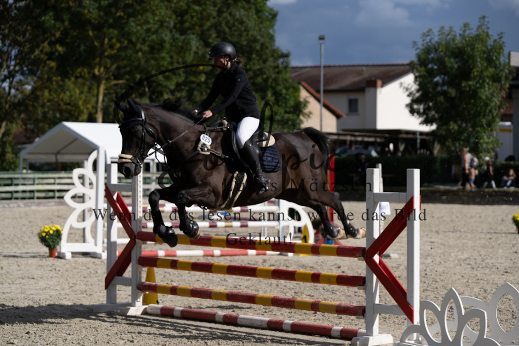 A7V07677 | Pferdefotograf