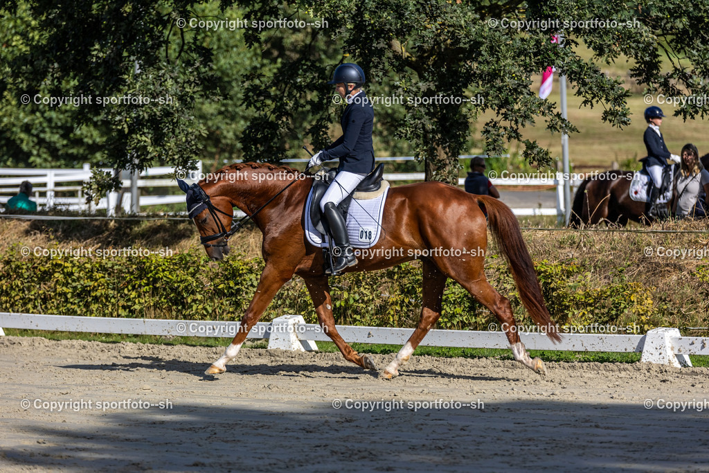 240901-VW-IS6A4847 | Sportfoto SH - Realisiert mit Pictrs.com