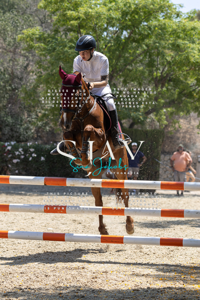 IMG_6491 | s-jay-photography - Realisiert mit Pictrs.com