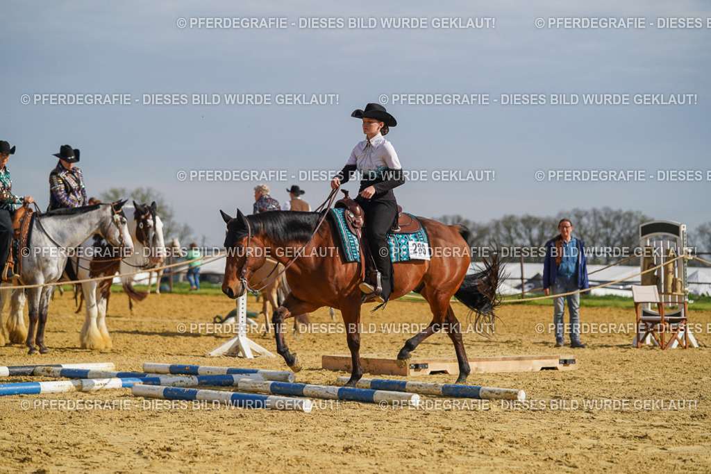 DSC01281 | Pferdegrafie