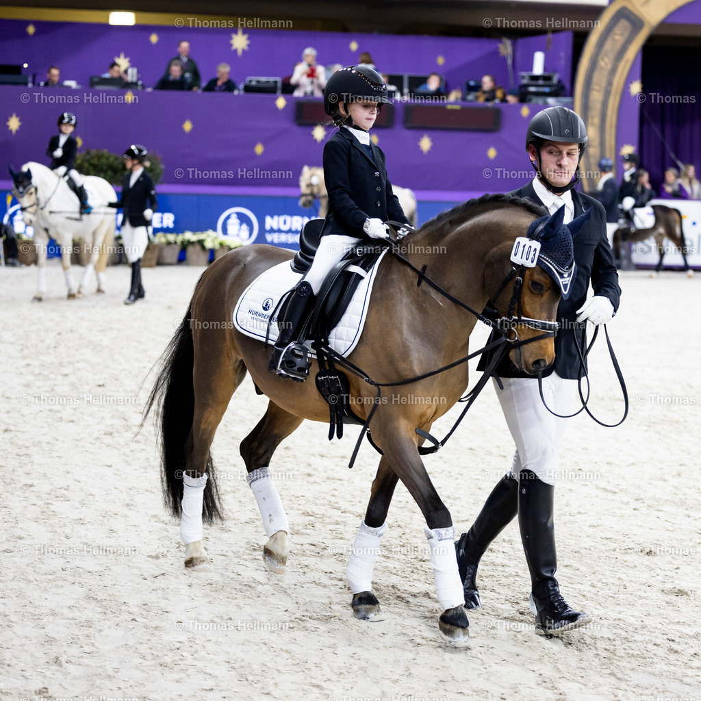 TH_Nürnberger Burgpokal Führzügelwettbewerb_13231 | Nürnberger Burgpokal Führzügelwettbewerb beim Festhallen Reitturnier Frankfurt 2023 am 15.12.23 in Frankfurt, Festhalle