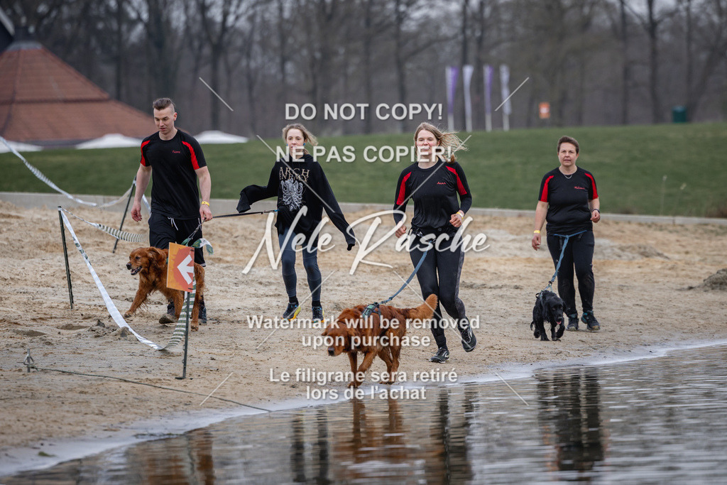 nelerasche_Hulsbeek_Sa1600-1700_453 | nelerasche