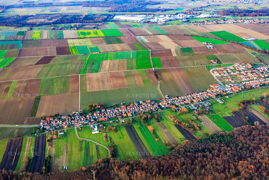 Luftbild: Saarstraße von Südwesten in Kandel im Bundesland Rheinland-Pfalz in Deutschland. Foto: IMG_22761.jpg vom 19.11.2009 durch Werner Riehm/FLY-FOTO.de