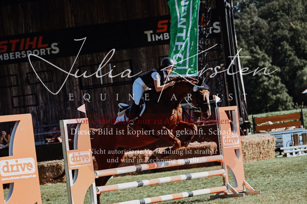 DSC_6715 | Pferde- und Turnierfotografie in Westsachsen. Pferdeportraits, Auftragszeichnungen und intuitive Kunst.