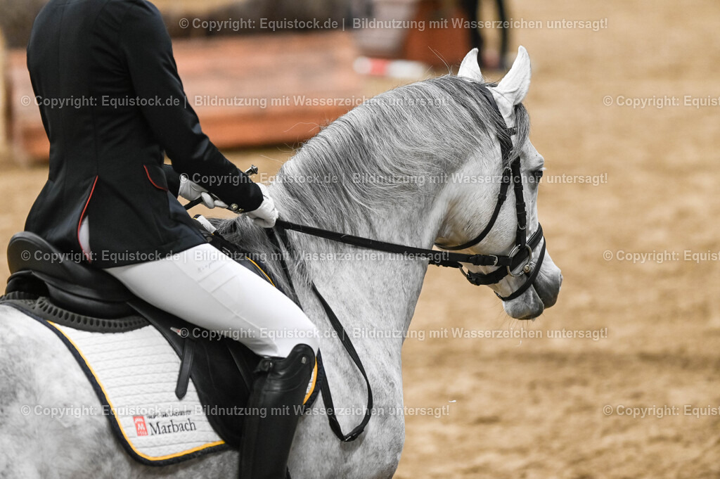 20260307_Hengstvorstellung-Marbach_0420 | equistock