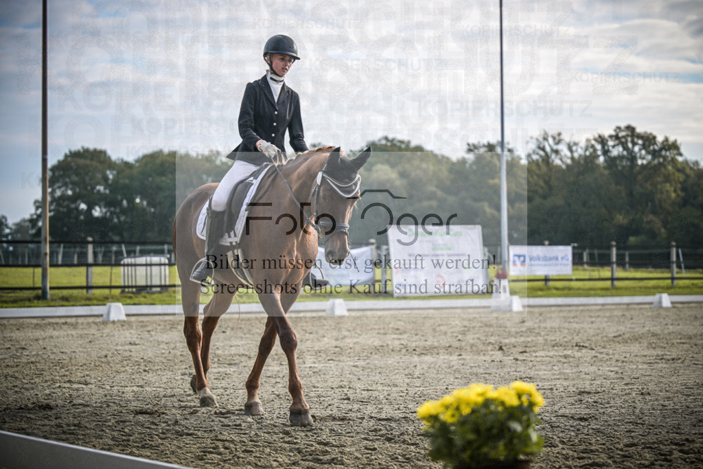 DOS_B123 | Entdecke hochwertige Reitturnierfotos von Foto Oger. Professionell, emotional und authentisch – jetzt Lieblingsmomente im Shop bestellen.Deutschlandweite Turnierfotografie. - Realisiert mit Pictrs.com