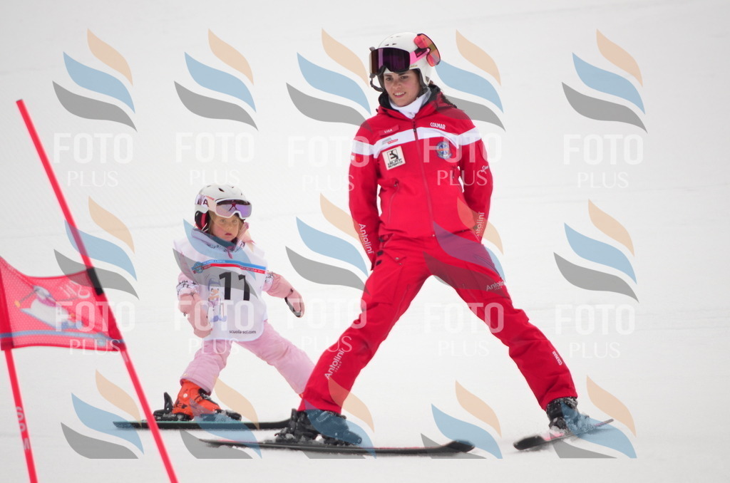 B8988 | holidayphoto