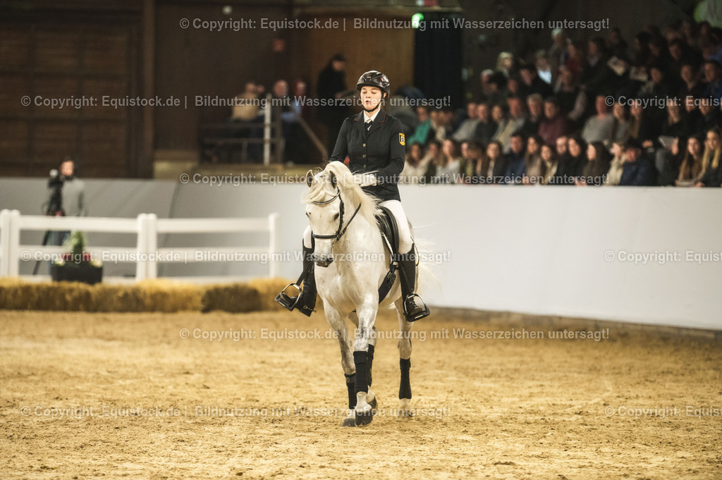 20240302_Hengstvorstellung_Marbach_TOMsPiC_1020 | equistock